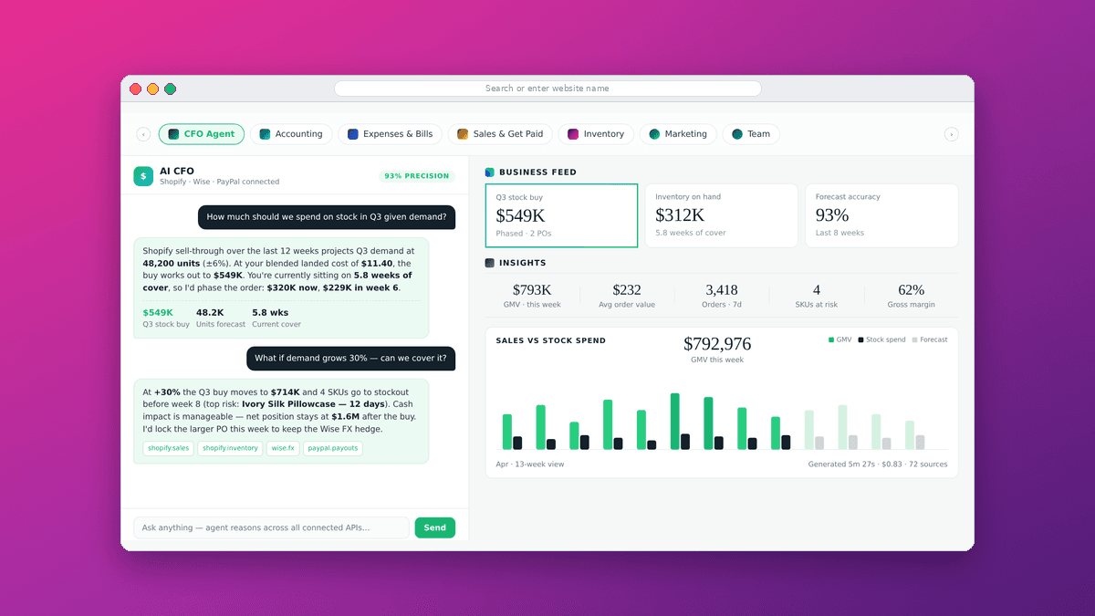 AI CFO for e-commerce brand